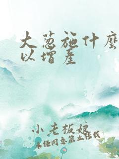大葱施什么肥可以增产
