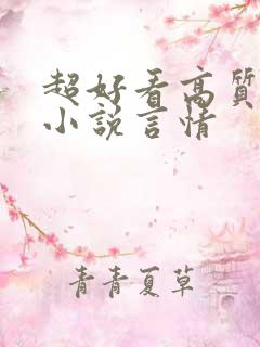 超好看高质量的小说言情