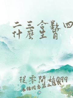 二三合数四五还什么生肖