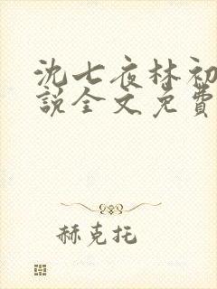 沈七夜林初雪小说全文免费阅读继续