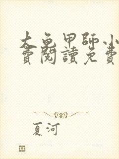 大龟甲师小说免费阅读免费下载