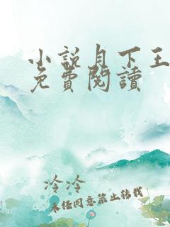 小说月下王盈盈免费阅读