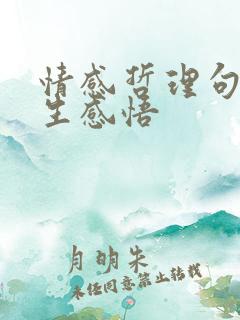 情感哲理句子人生感悟
