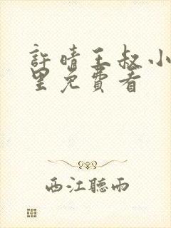 许晴王叔小说哪里免费看