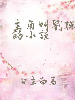 主角叫刘聪赵兰的小说