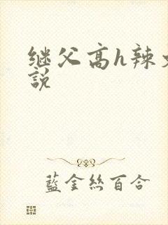 继父高h辣文小说