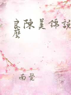 良陈美锦说的什么