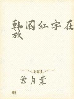 韩国红字在线播放