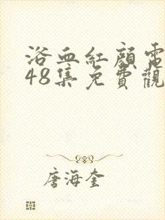 浴血红颜电视剧48集免费观看高清