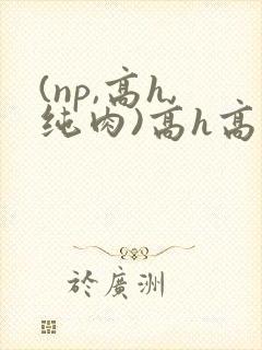 (np,高h,纯肉)高h高辣文