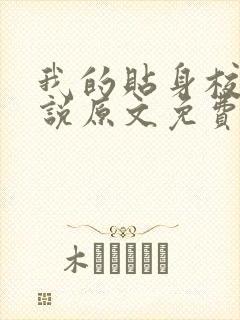 我的贴身校花小说原文免费阅读
