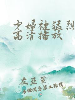 少妇被猛烈进入高清播放