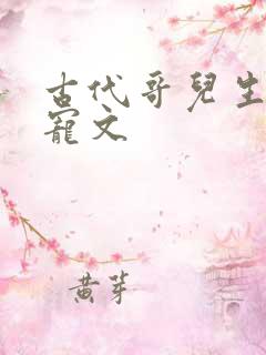 古代哥儿生子甜宠文