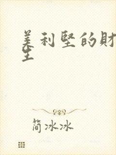 美利坚的财富人生