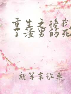 重生之后我嫁给了渣男的死对头短剧