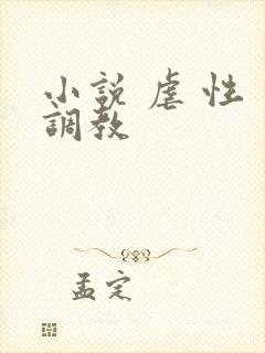 小说 虐 性 调教
