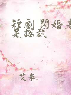 短剧 闪婚老公是总裁