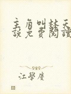 主角叫林天的小说免费阅读