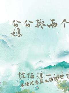 公公与两个好儿媳