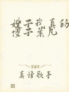 嫂子我真的不是傻子叶凡