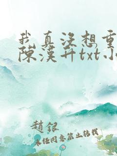 我真没想重生啊陈汉升txt小说下载