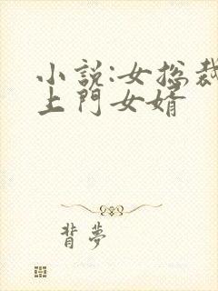 小说:女总裁的上门女婿
