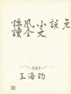 锦凰小说免费阅读全文