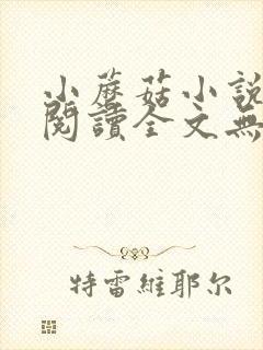 小蘑菇小说免费阅读全文无删减