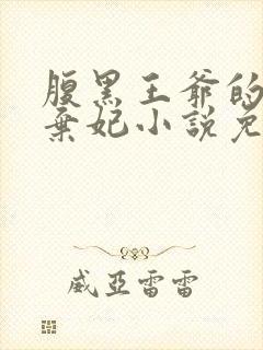 腹黑王爷的绝色弃妃小说免费阅读