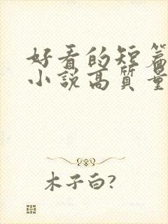 好看的短篇言情小说高质量文笔好