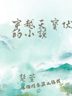 穿越天宝伏妖录的小说