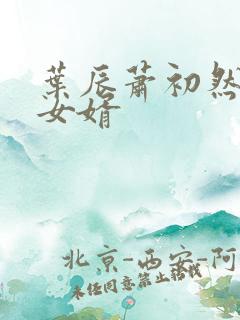 叶辰萧初然至尊女婿