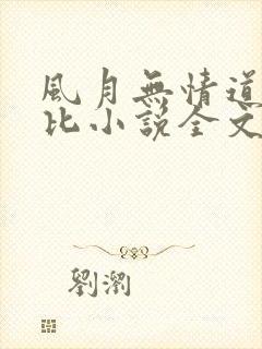 风月无情道比卡比小说全文免费阅读笔趣阁