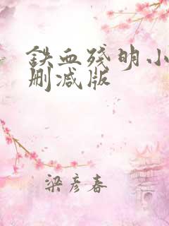 铁血残明小说未删减版