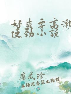 好爽要高潮了快使劲小说