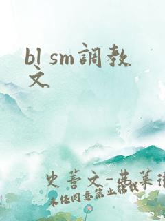 bl sm调教文