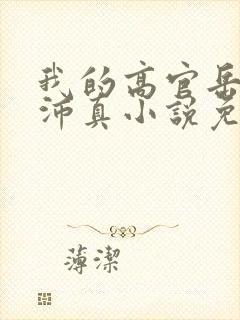我的高官岳母苏沛真小说免费阅读