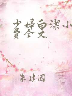 少妇白洁小说免费全文