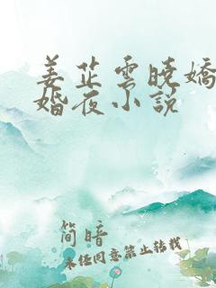 姜芷云晓娇的新婚夜小说