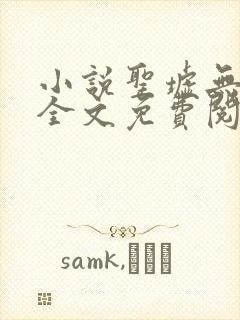小说圣墟无弹窗全文免费阅读