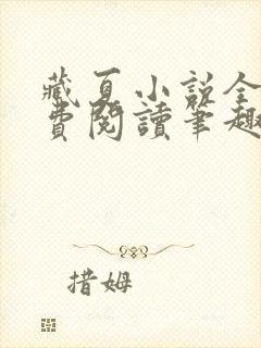 藏夏小说全文免费阅读笔趣阁