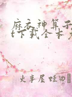 麻衣神算子txt下载全本免费
