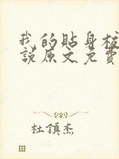 我的贴身校花小说原文免费阅读