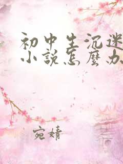 初中生沉迷网络小说怎么办