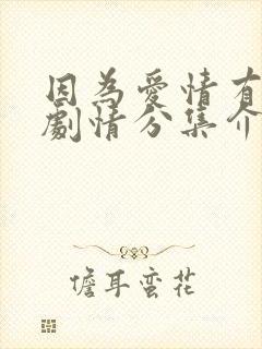 因为爱情有多美剧情分集介绍