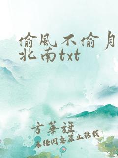 偷风不偷月小说北南txt