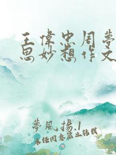 王伟忠周梦莹奇思妙想作文