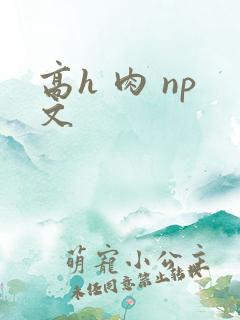 高h 肉 np文