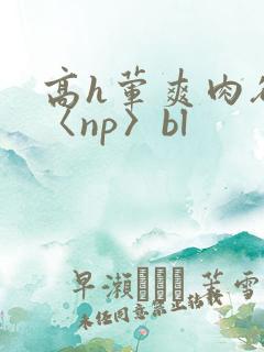 高h荤爽肉欲文〈np〉bl