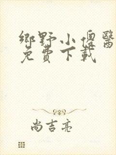 乡野小傻医小说免费下载
